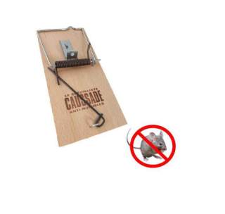 Artisan dératiseur à Soissons